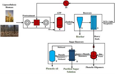 Investigating the Impacts of Feedstock Variability on a Carbon-Negative Autothermal Pyrolysis System Using Machine Learning